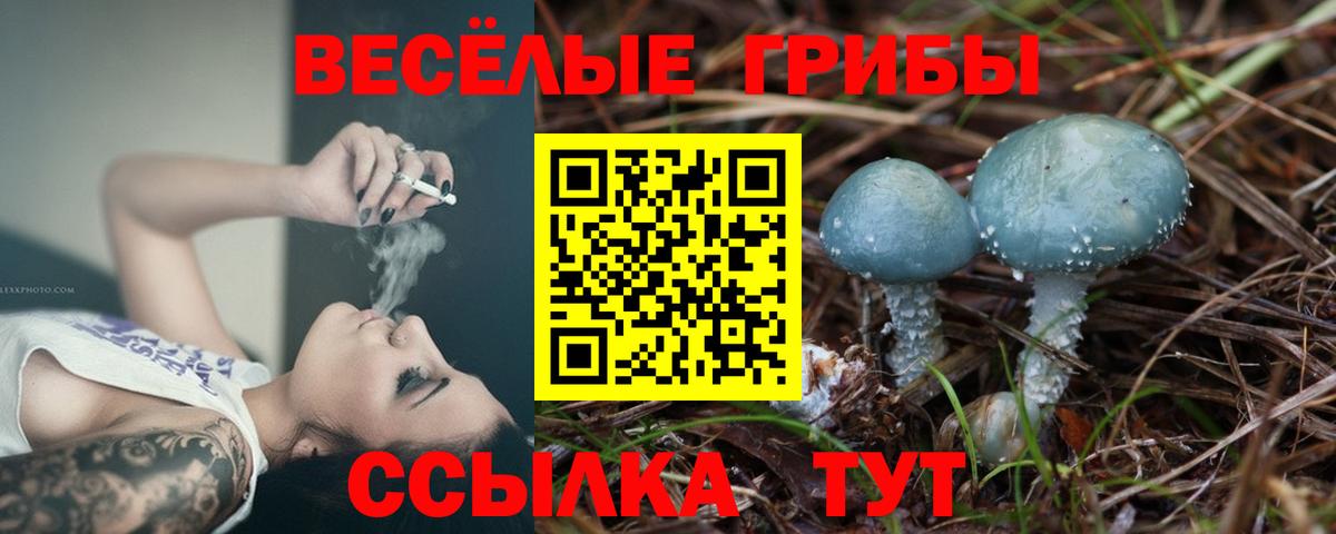 Мариинск  Галлюциногенные грибы мухоморы  Вход с VPN  Галлюциногенные грибы прущие грибы 